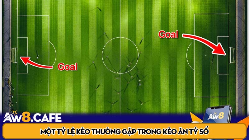 Một tỷ lệ kèo thường gặp trong kèo ăn tỷ số