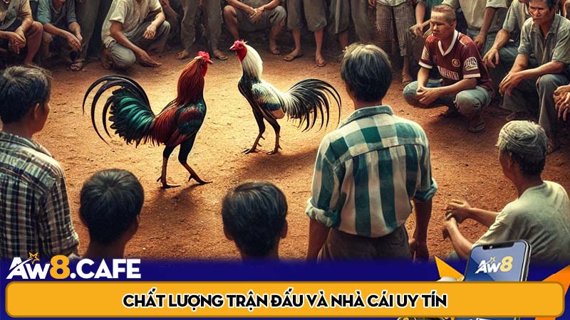 Chất lượng trận đấu và nhà cái uy tín